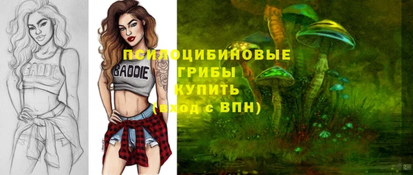 гашик Абдулино