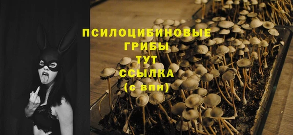 гашик Абдулино