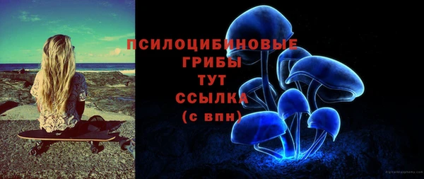гашик Абдулино