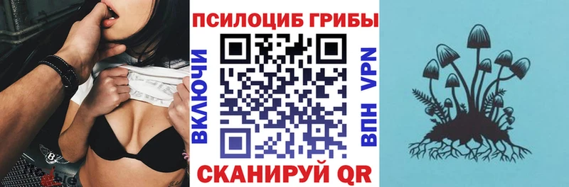 mega вход  Егорьевск  Галлюциногенные грибы GOLDEN TEACHER 